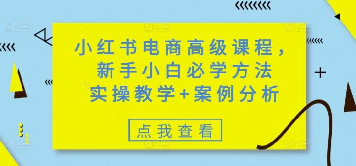 小红书电商高级课程,新手小白必学方法,实操教学+案例分析-三零资源