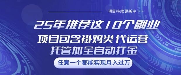 25年推荐这10个副业项目包含褂鸡类、代运营托管类、全自动打金类【揭秘】-三零资源