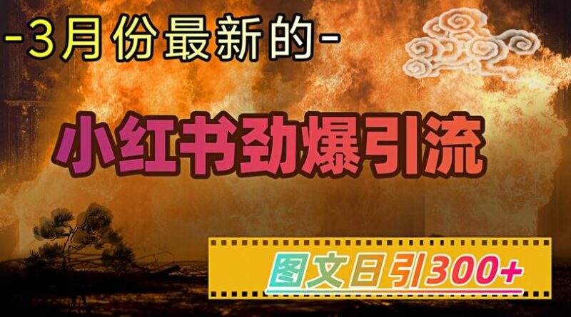 小红书超劲爆引流手段,图文日引300+轻松变现1W-三零资源