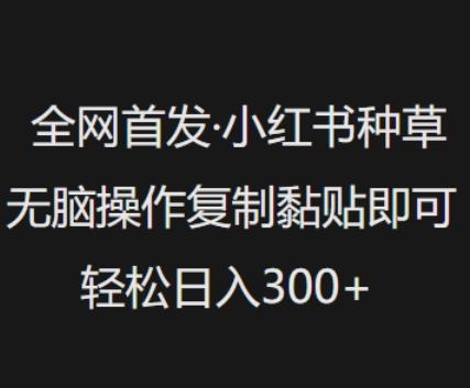全网首发,小红书种草无脑操作,复制黏贴即可,轻松日入3张-三零资源