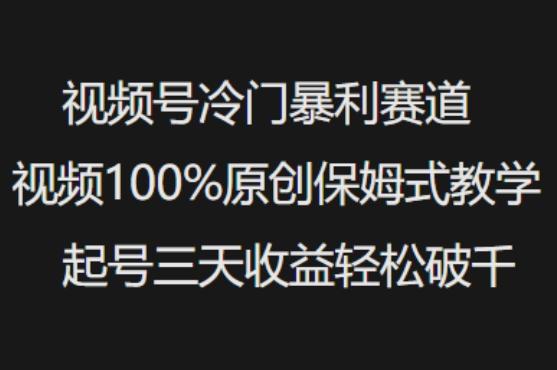 视频号冷门暴利赛道视频100%原创保姆式教学起号三天收益轻松破千-三零资源