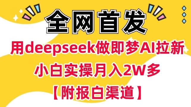 用deepseek做即梦Ai拉新 小白实操月入过W+【附报白渠道】-三零资源