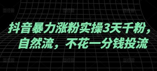 抖音暴力涨粉实操3天千粉,自然流,不花一分钱投流,实操经验分享-三零资源