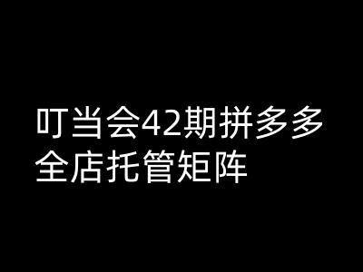 叮当会拼多多打爆班原创高阶技术第42期,拼多多全店托管矩阵-三零资源