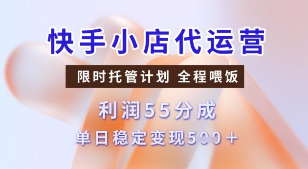 快手小店代运营3.0,模式新升级,收益55分,稳定单日5张【揭秘】-三零资源