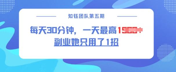 副业她只用了1招,每天30分钟,无脑二创,一天最高1.5k-三零资源