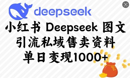小红书Deepseek图文引流私域售卖资料,单日变现多张-三零资源