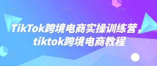 TikTok跨境电商实操训练营,tiktok跨境电商教程-三零资源