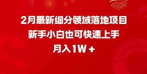2月最新细分领域落地项目,新手小白也可快速上手,月入1W-三零资源