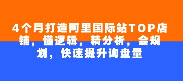 4个月打造阿里国际站TOP店铺,懂逻辑,精分析,会规划,快速提升询盘量-三零资源