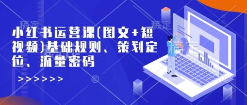 小红书运营课(图文+短视频)基础规则、策划定位、流量密码-三零资源