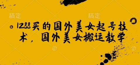 1288买的国外美女起号技术，国外美女搬运教学-三零资源