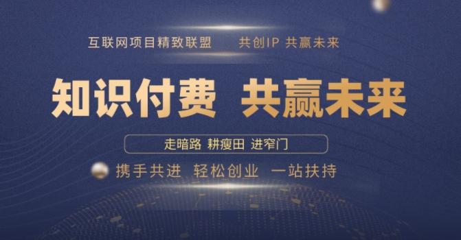 别人苦寻无果,为何他们靠知识付费卖项目 2025 年轻松年入100个?【揭秘】-三零资源