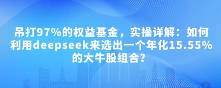 付费文章:吊打97%的权益基金,实操详解:如何利用deepseek来选出一个年化15.55%的大牛股组合?-三零资源