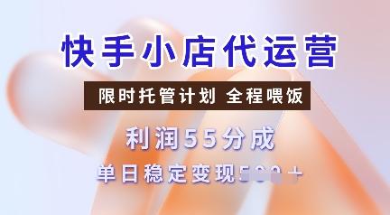 快手小店代运营,限时托管计划,收益55分,单日稳定变现多张【揭秘】-三零资源