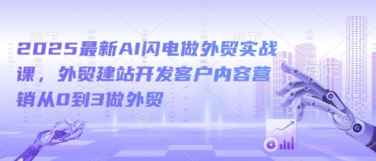 2025最新AI闪电做外贸实战课,外贸建站开发客户内容营销从0到3做外贸-三零资源