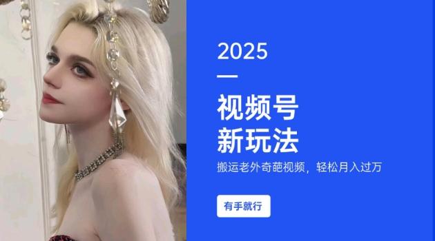 搬运老外奇葩视频,撸视频号分成计划收益,每天只需一小时,新手小白轻松月入过W-三零资源