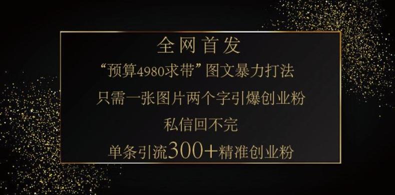 小红书神奇图片引流法，只需一张图，就能单条笔记凭借此方法，轻松引流 300 + 精准创业粉-三零资源