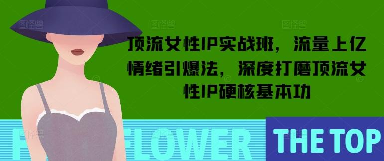 顶流女性IP实战班,流量上亿情绪引爆法,深度打磨顶流女性IP硬核基本功-三零资源