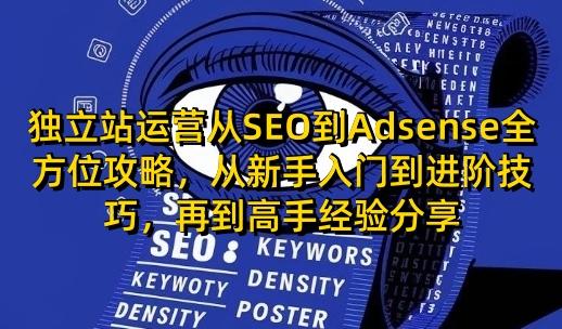 独立站运营从SEO到Adsense全方位攻略，从新手入门到进阶技巧，再到高手经验分享-三零资源