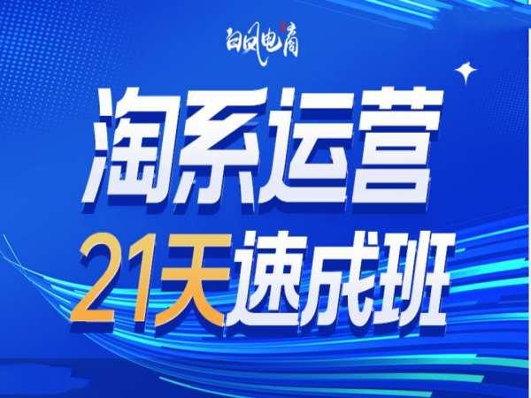 淘系运营21天速成班35期,年前最后一波和2025方向-三零资源