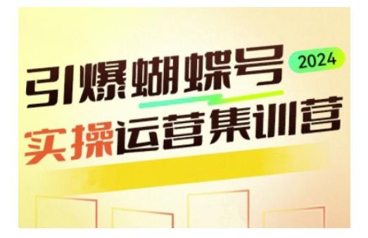引爆蝴蝶号实操运营,助力你深度掌握蝴蝶号运营,实现高效实操,开启流量变现之路-三零资源