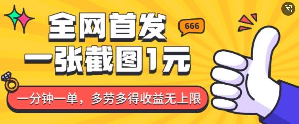 全网首发，一张截图1块钱，一分钟一单，多劳多得，收益无上限-三零资源