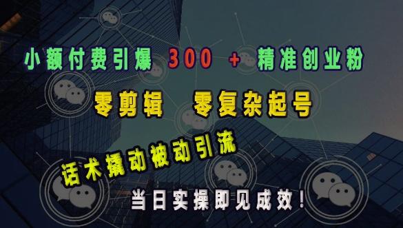 小额付费引爆 300 + 精准创业粉,零剪辑、零复杂起号,话术撬动被动引流,当日实操即见成效-三零资源