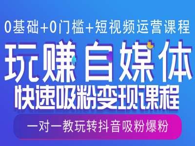 0基础+0门槛+短视频运营课程,玩赚自媒体快速吸粉变现课程,一对一教玩转抖音吸粉爆粉-三零资源