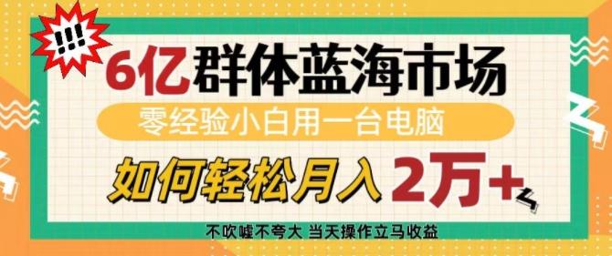 6亿群体蓝海市场,零经验小白用一台电脑,如何轻松月入过w【揭秘】-三零资源