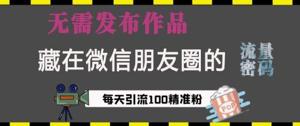 藏在微信朋友圈的流量密码,无需发布作品,单日引流100+精准创业粉【揭秘】-三零资源