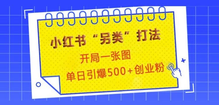 小红书“另类”打法,开局一张图,单日引爆500+精准创业粉【揭秘】-三零资源