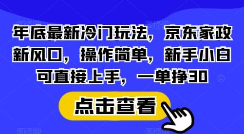 年底最新冷门玩法,京东家政新风口,操作简单,新手小白可直接上手,一单挣30【揭秘】-三零资源