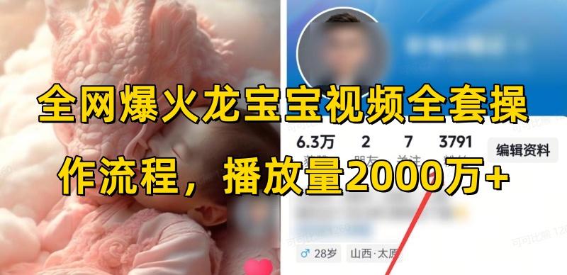 全网爆火龙宝宝视频全套操作流程,播放量2000万+-三零资源