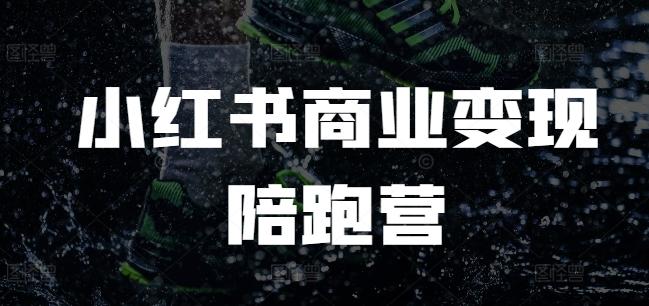 小红书商业变现陪跑营，小红书电商教程 三零资源-三零资源