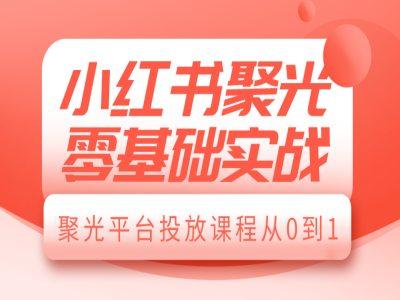 小红书聚光零基础实战,聚光平台投放课程从0到1-三零资源