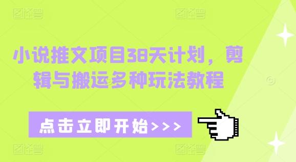 小说推文项目38天计划,剪辑与搬运多种玩法教程-三零资源