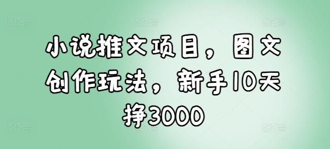 小说推文项目,图文创作玩法,新手10天挣3000-三零资源