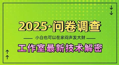 2025问卷调查最新工作室技术解密:一个人在家也可以闷声发大财,小白一天2张,可矩阵放大【揭秘】-三零资源