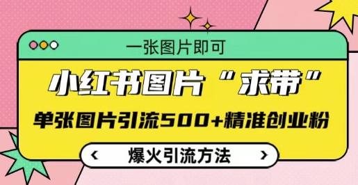 小红书图片‘求带’爆火引流法,单张图片引流500+精准创业粉【揭秘】-三零资源