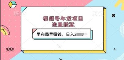 视频号年货项目,流量贼猛,早布局早挣钱,日入上k【揭秘】-三零资源