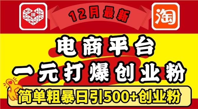 12月最新:电商平台1元打爆创业粉,简单粗暴日引500+精准创业粉,轻松月入过W【揭秘】-三零资源