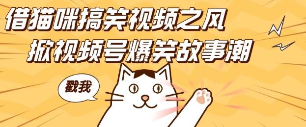 借猫咪搞笑视频之风，掀视频号爆笑故事潮，轻松日入四位数，无门槛快速入门!-三零资源