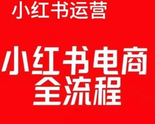 红薯电商实操课,小红书电商全流程-三零资源