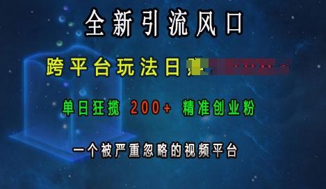 全新引流风口,跨平台玩法日入上k,单日狂揽200+精准创业粉,一个被严重忽略的视频平台-三零资源