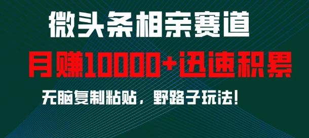 微头条相亲赛道,迅速积累,无脑复制粘贴,野路子玩法,月入1w-三零资源