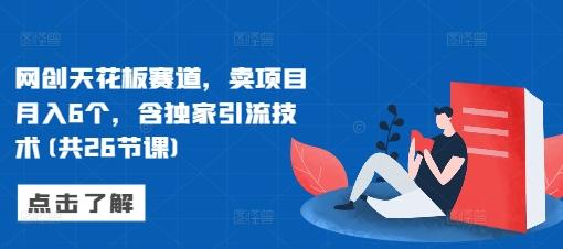 网创天花板赛道,卖项目月入6个,含独家引流技术(共26节课)-三零资源