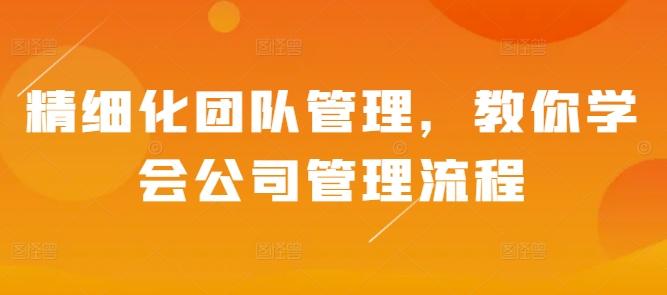 精细化团队管理,教你学会公司管理流程-三零资源
