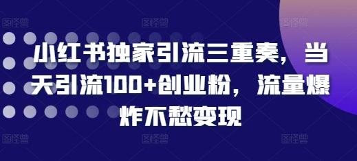 小红书独家引流三重奏,当天引流100+创业粉,流量爆炸不愁变现【揭秘】-三零资源