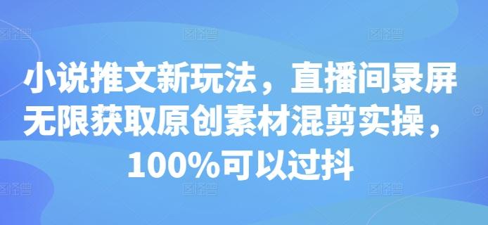 小说推文新玩法,直播间录屏无限获取原创素材混剪实操,100%可以过抖-三零资源